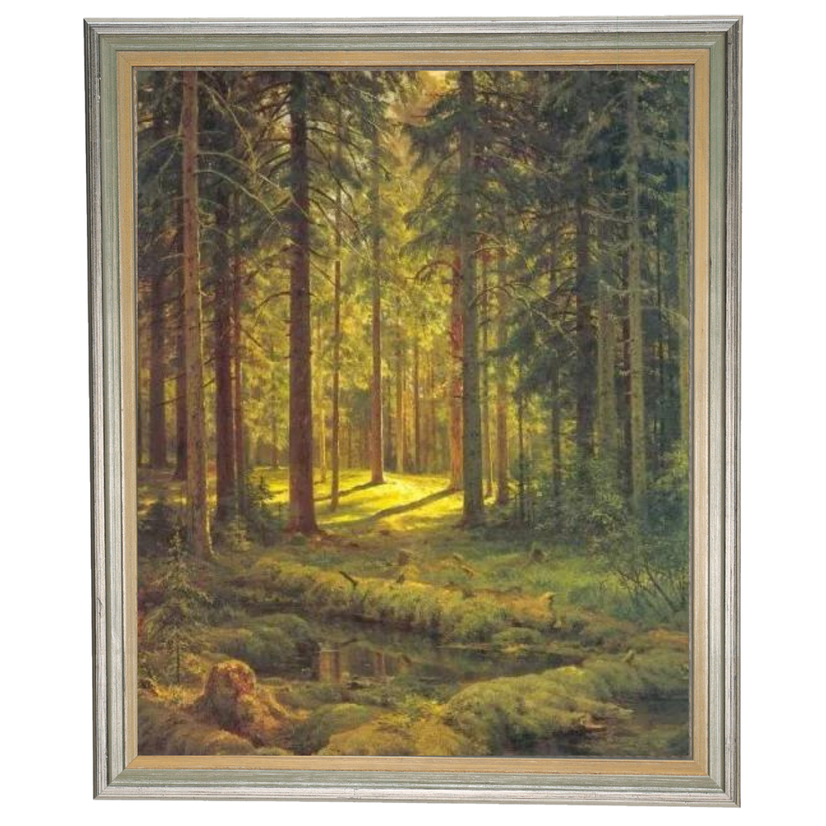 A Coniferous Forest. Sunny Day