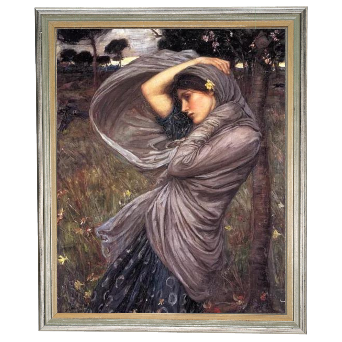 Boreas