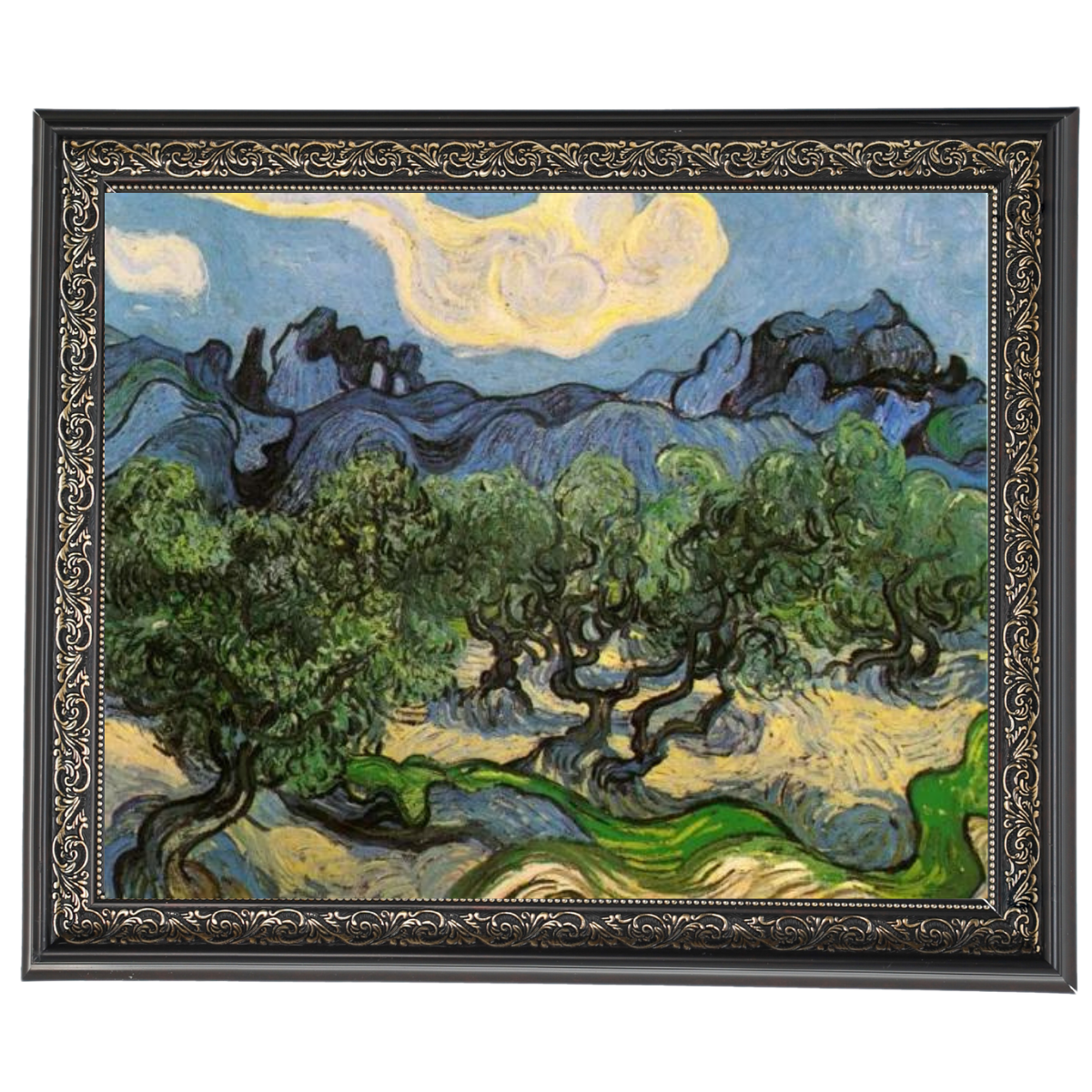 Olive Trees with the Alpilles in the Background