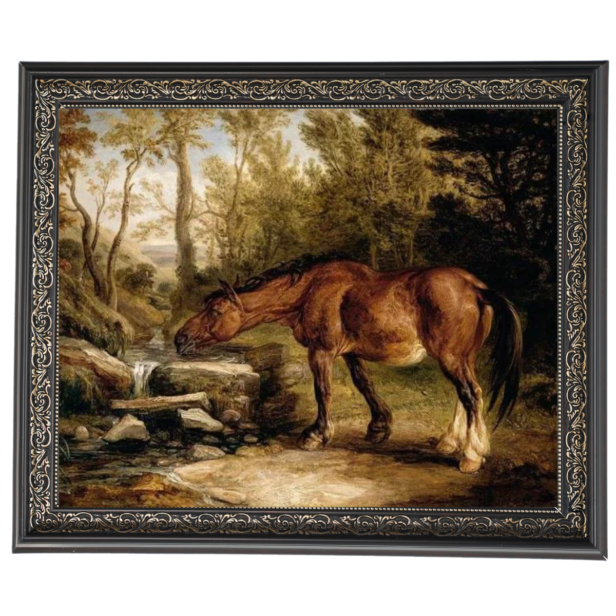 A Horse Drinking at a Stream