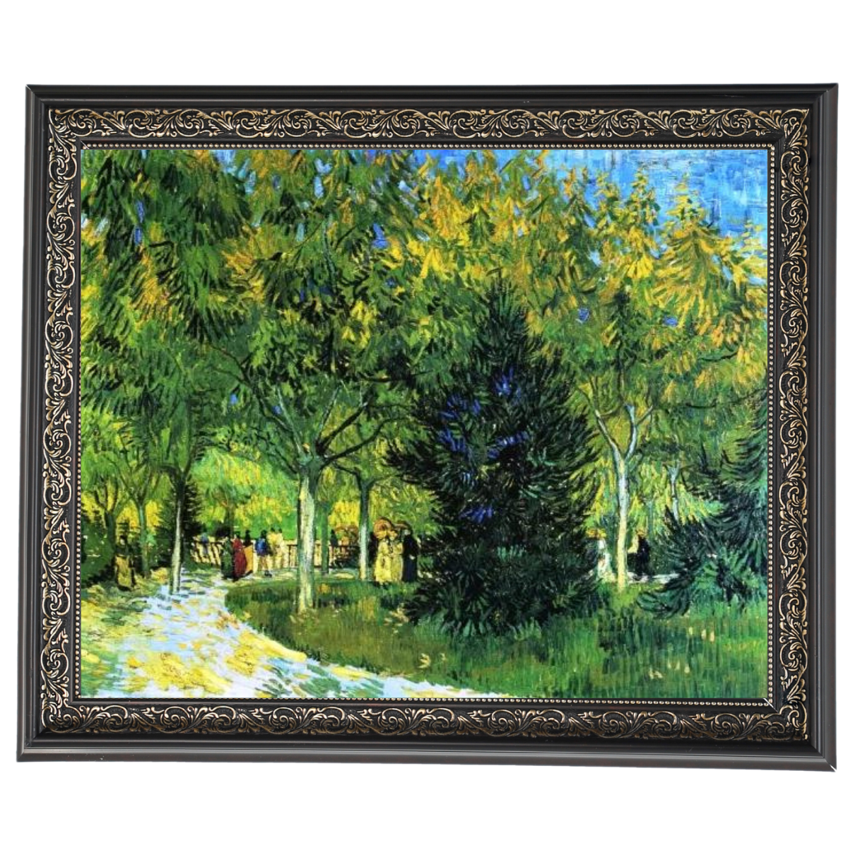 Avenue in the Park