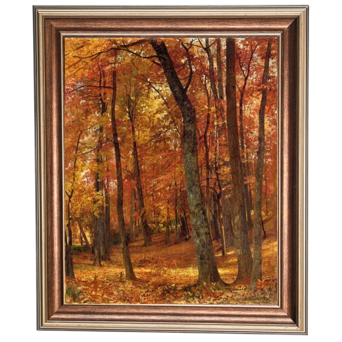 A Forest Interior