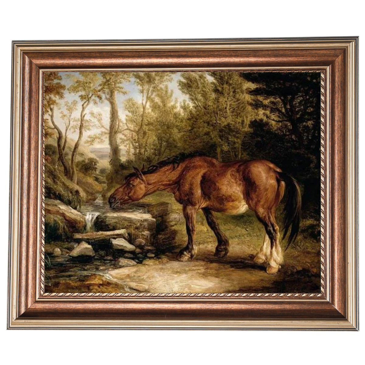 A Horse Drinking at a Stream