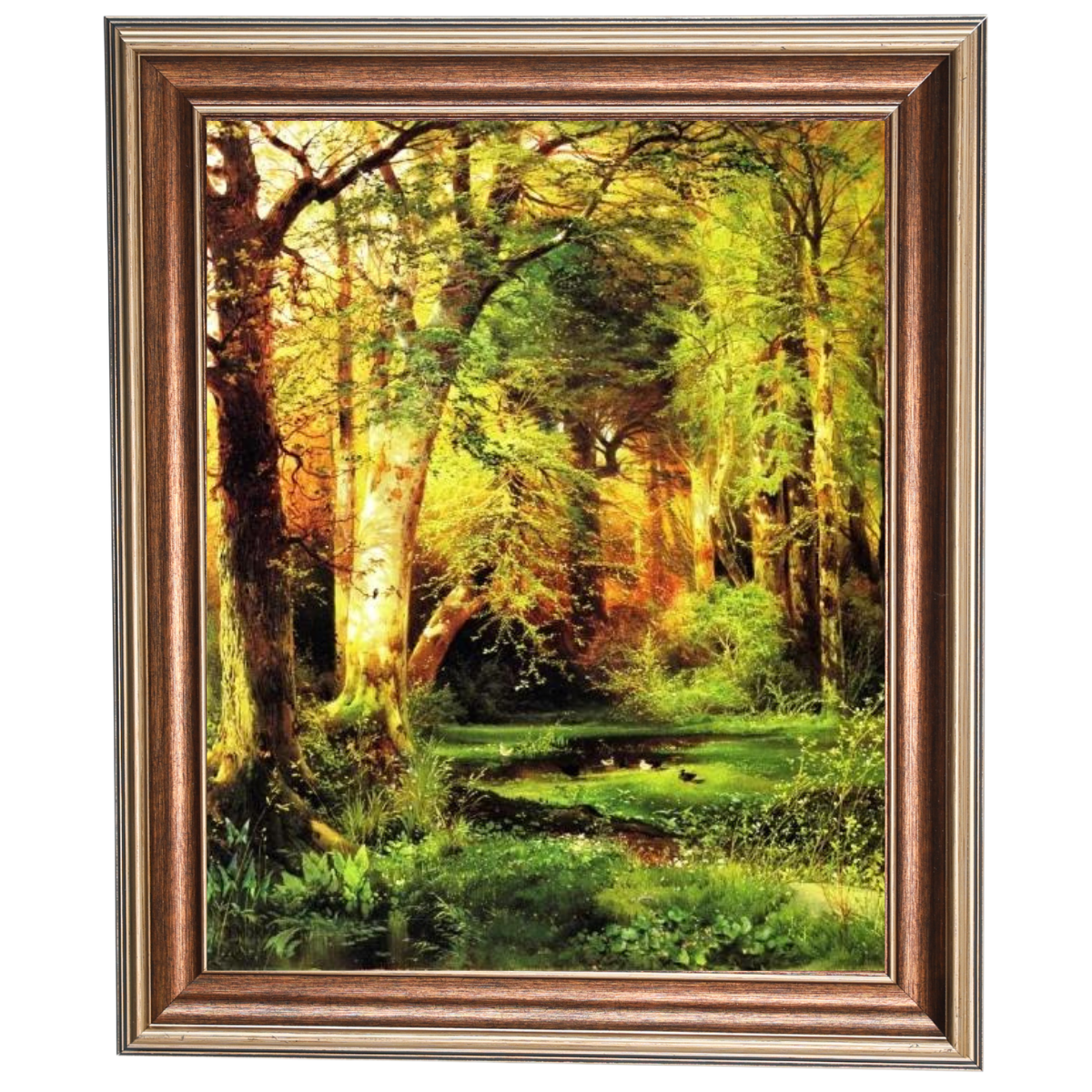 Forest Scene