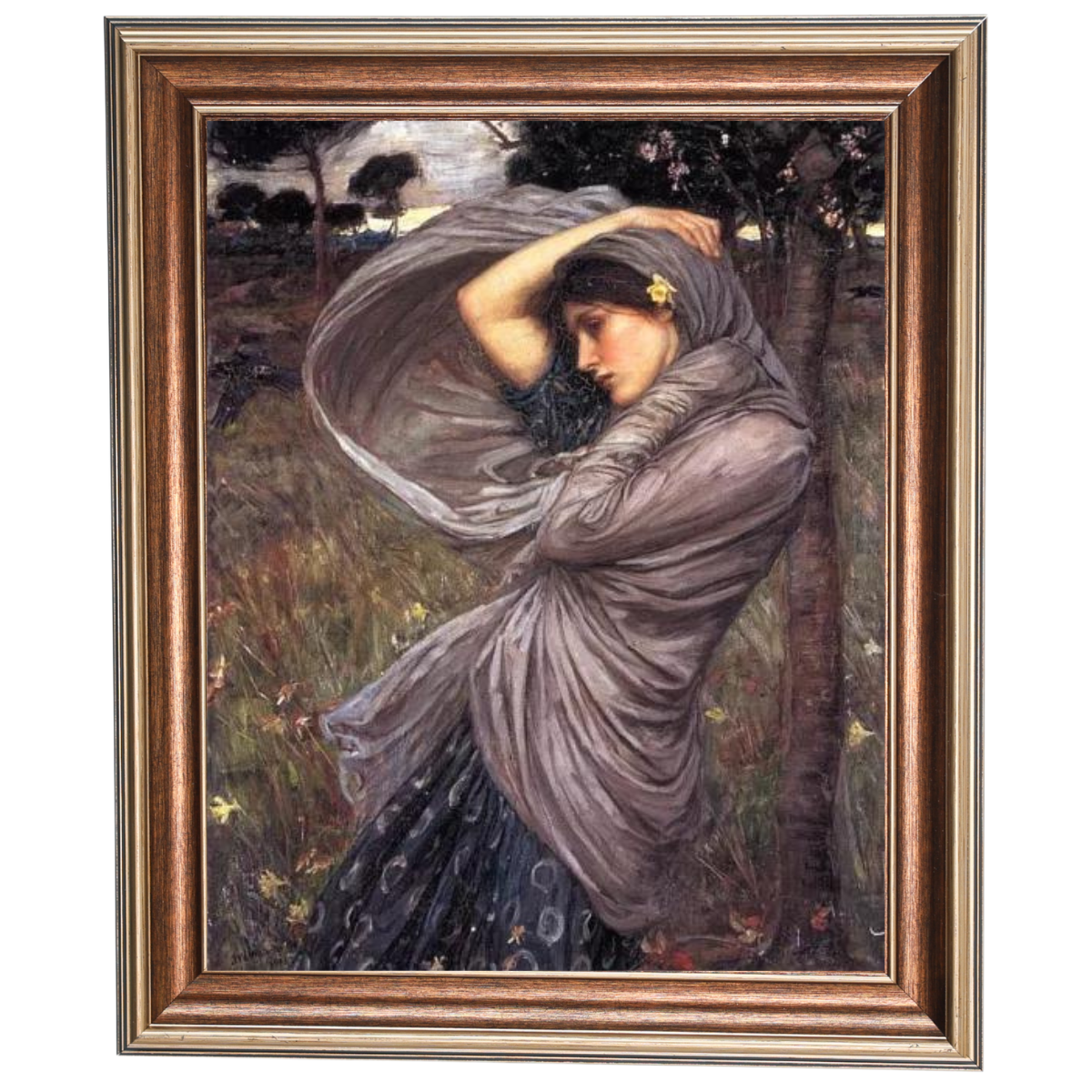 Boreas