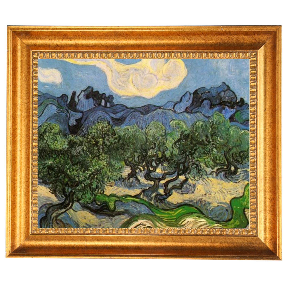 Olive Trees with the Alpilles in the Background