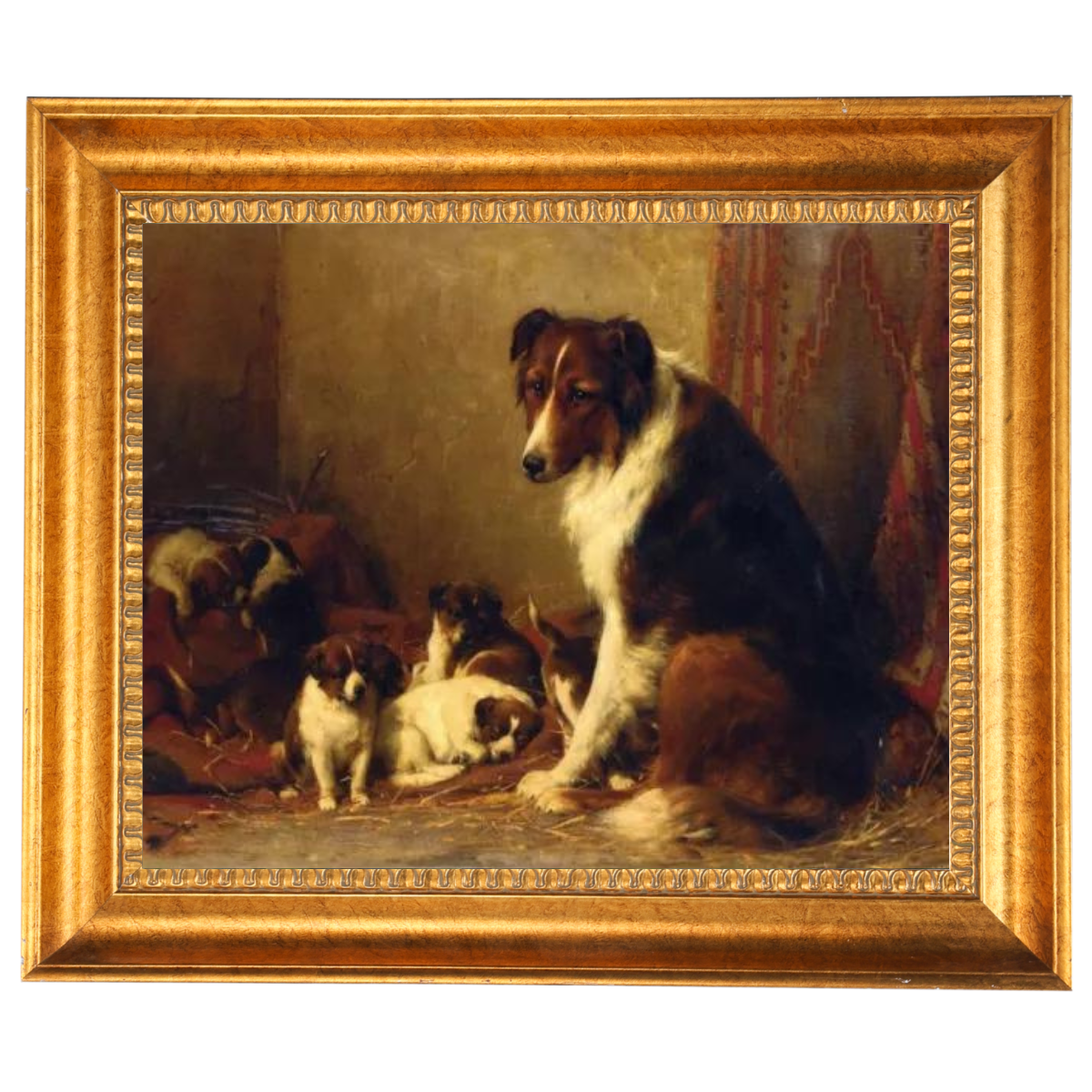 A Collie and Her Puppies