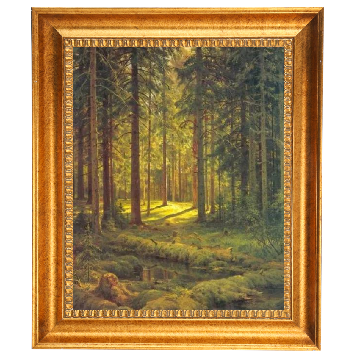 A Coniferous Forest. Sunny Day