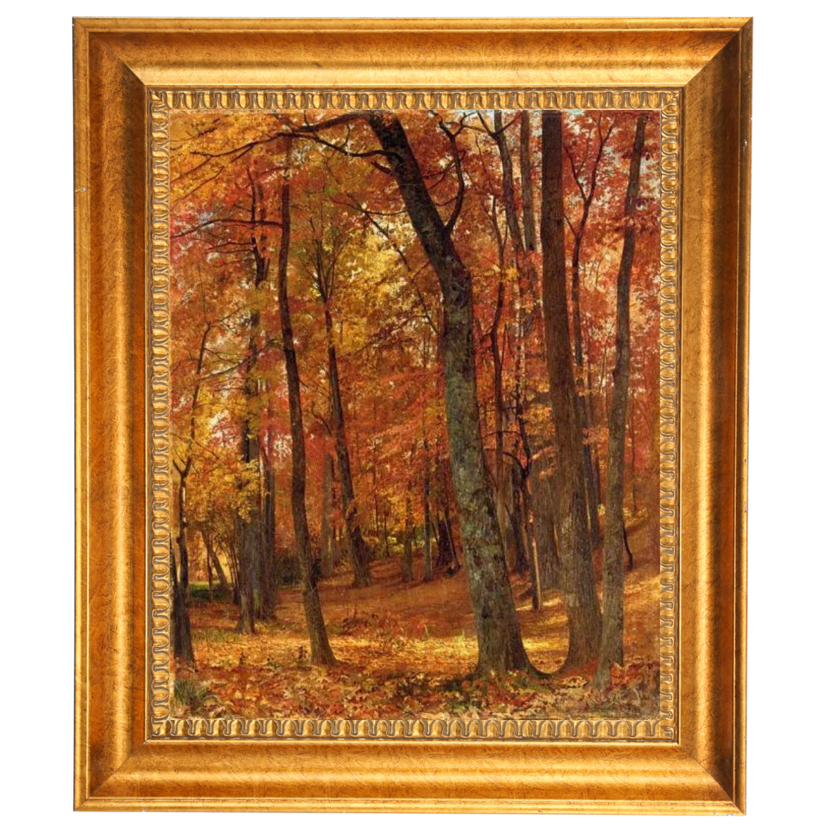 A Forest Interior