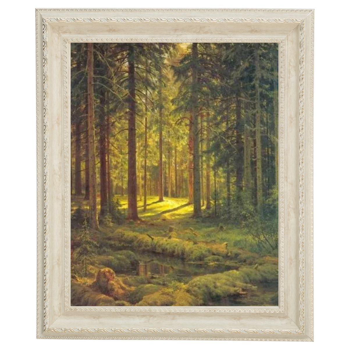 A Coniferous Forest. Sunny Day