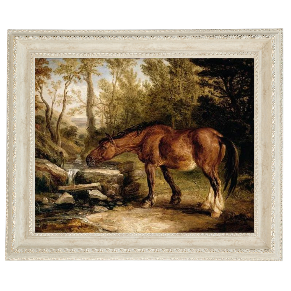 A Horse Drinking at a Stream