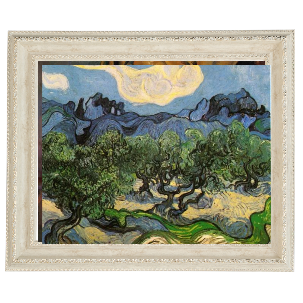 Olive Trees with the Alpilles in the Background