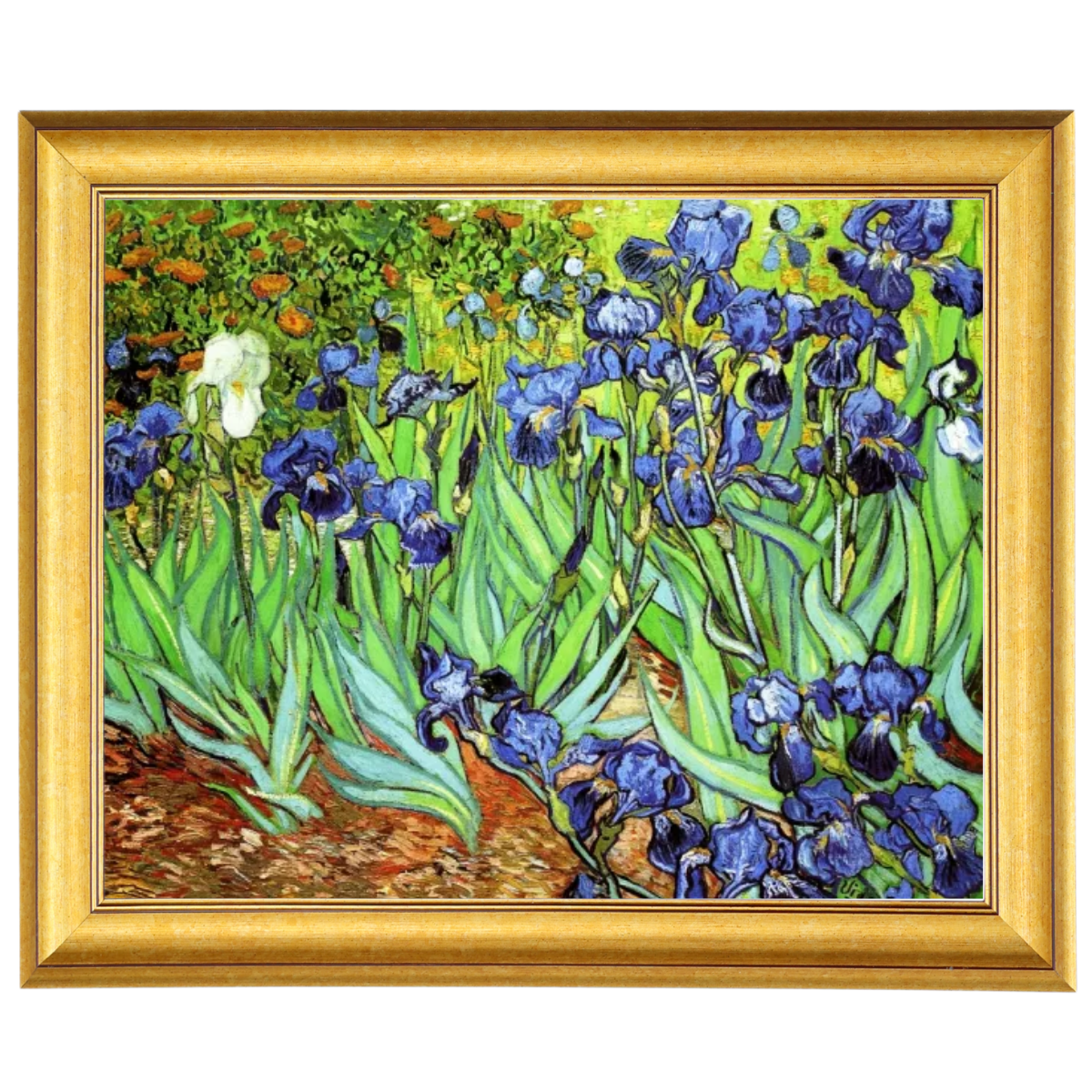 Irises II- Floral Wall Art Prints Decor For Living Room