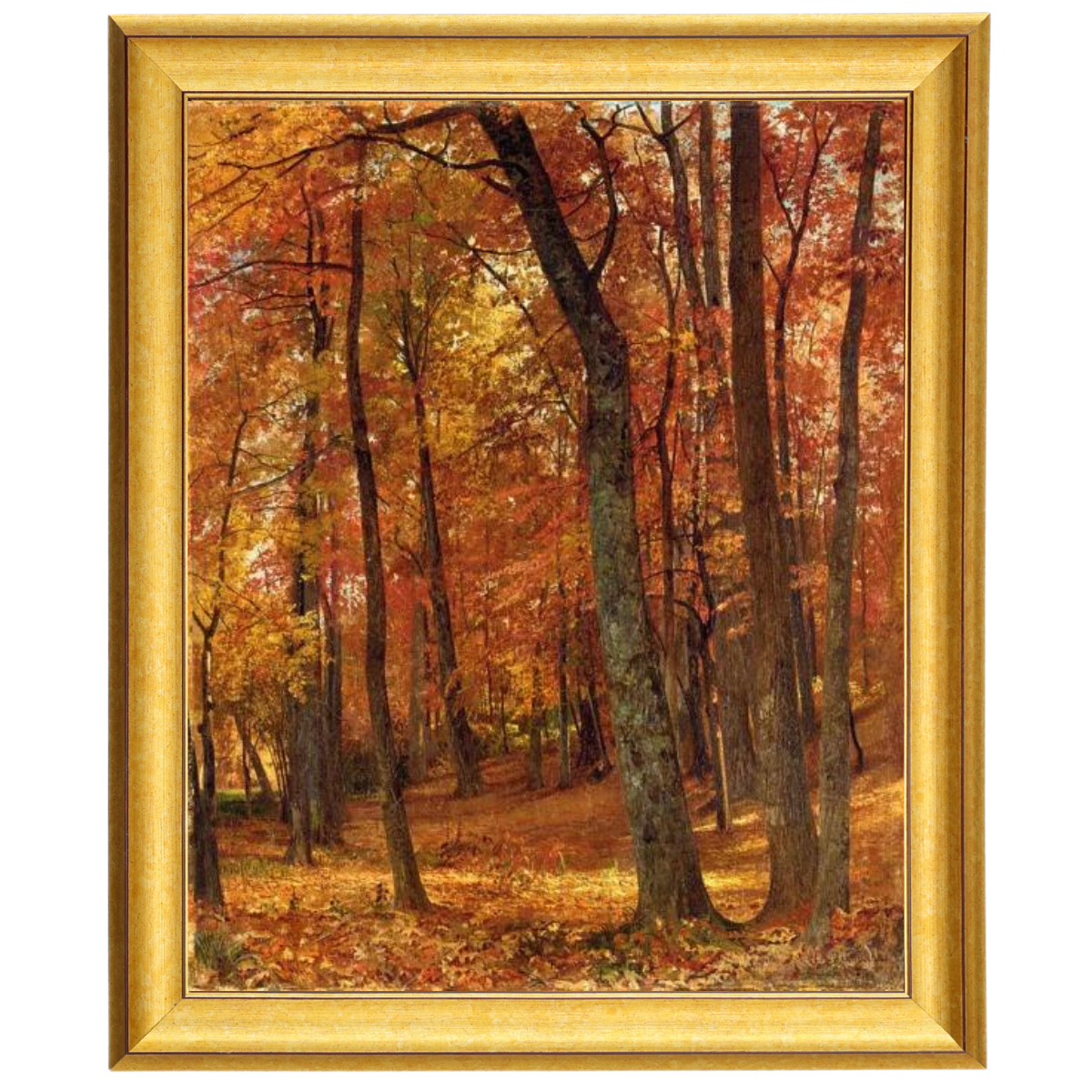 A Forest Interior