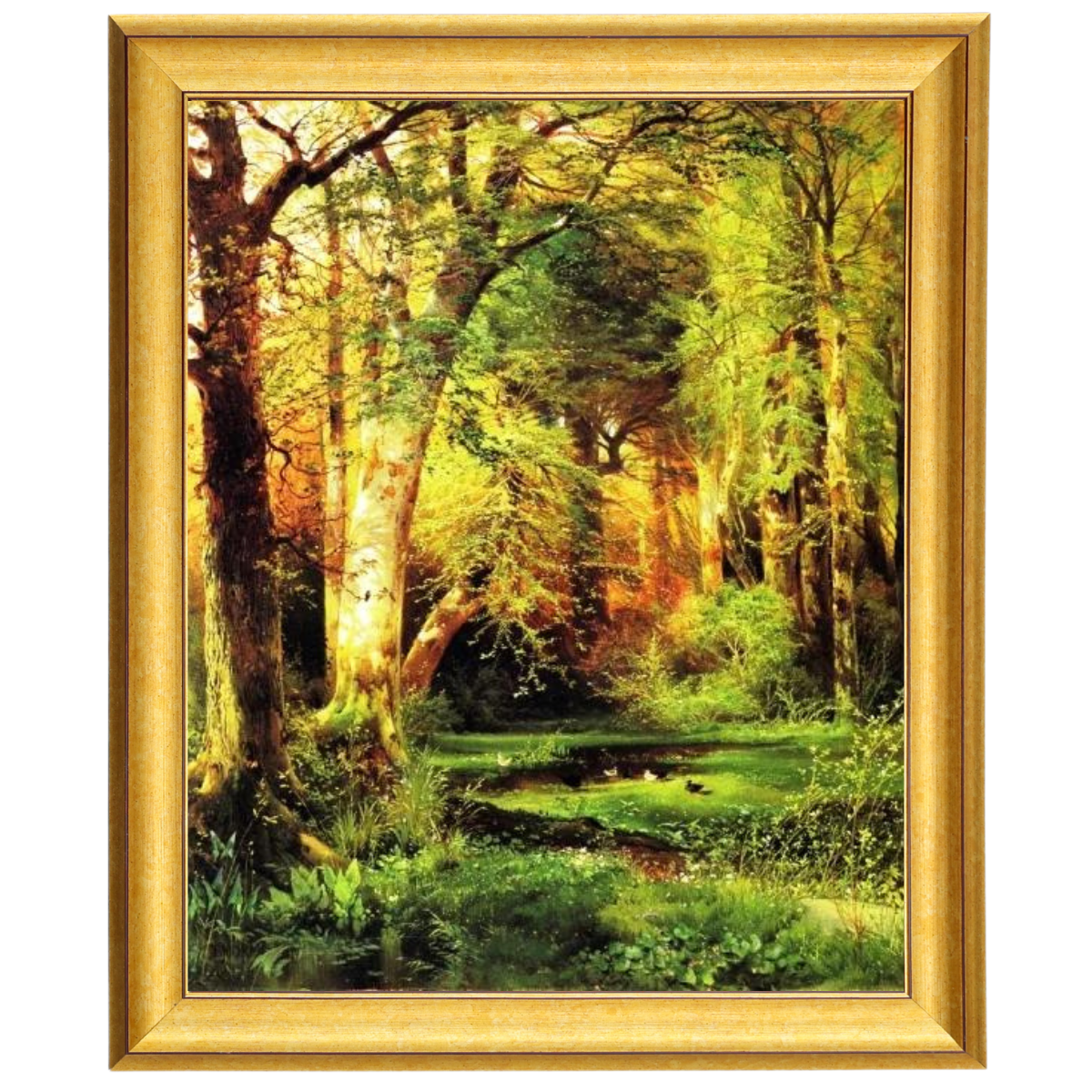 Forest Scene
