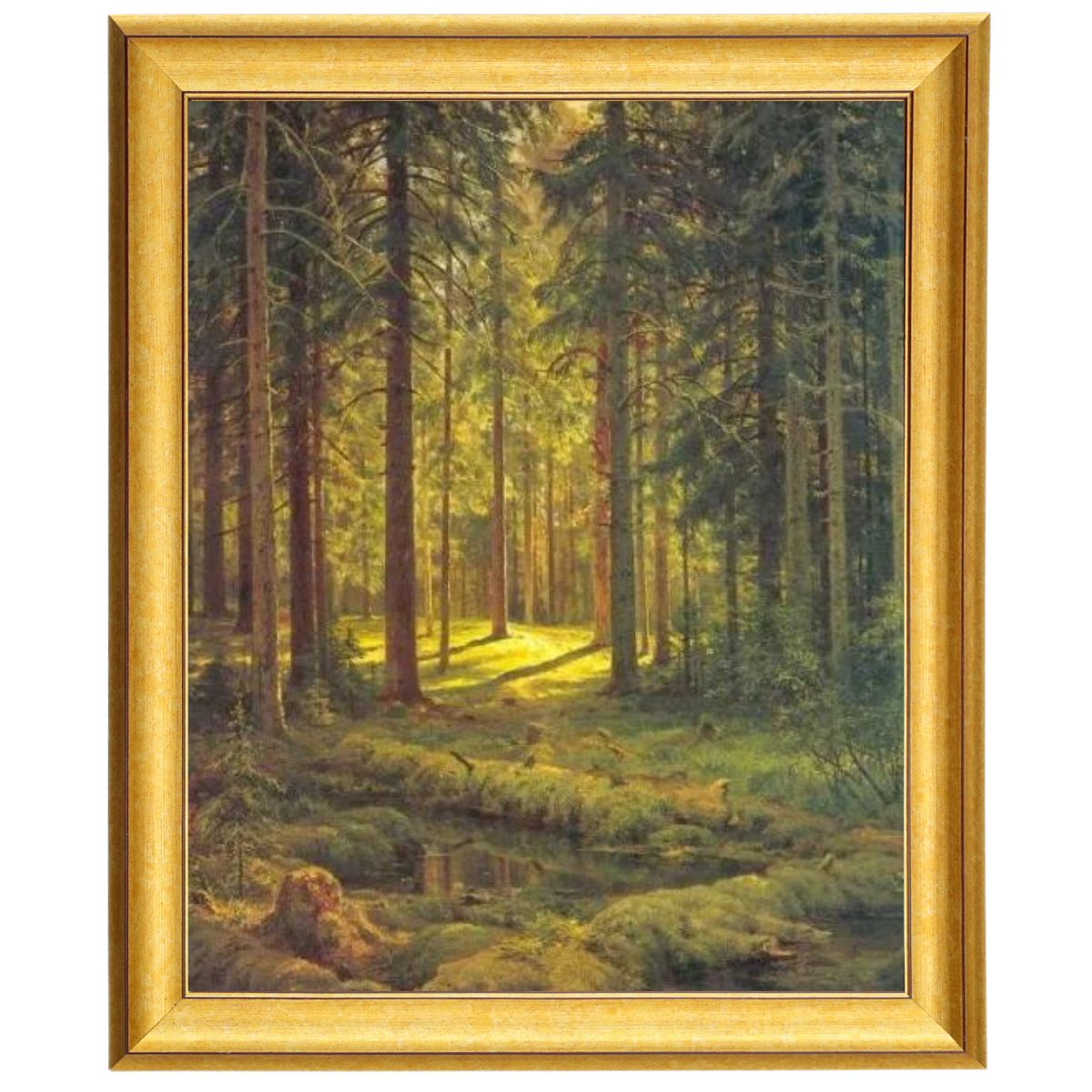 A Coniferous Forest. Sunny Day
