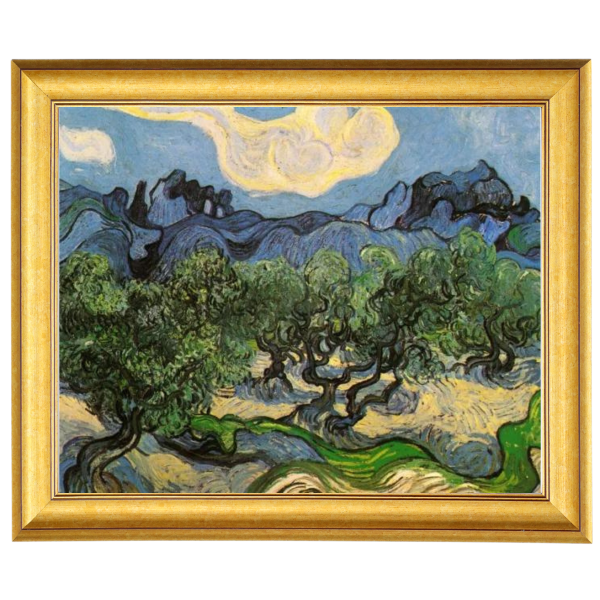 Olive Trees with the Alpilles in the Background