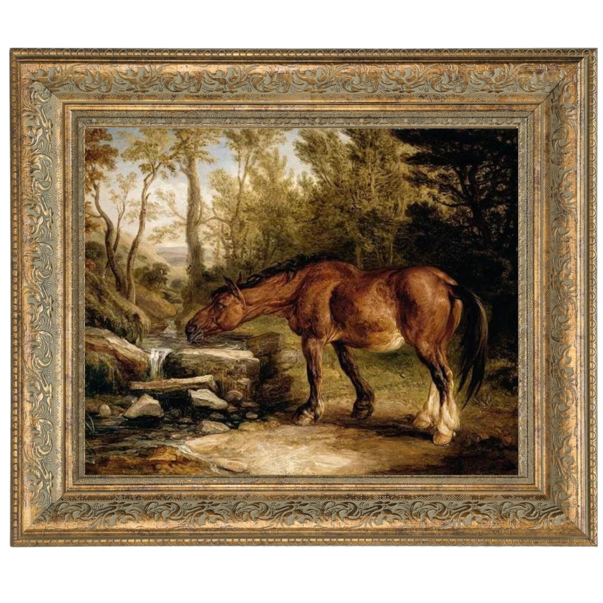 A Horse Drinking at a Stream