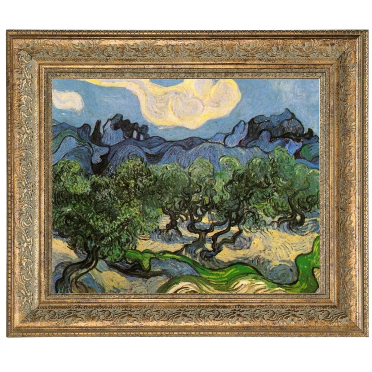 Olive Trees with the Alpilles in the Background