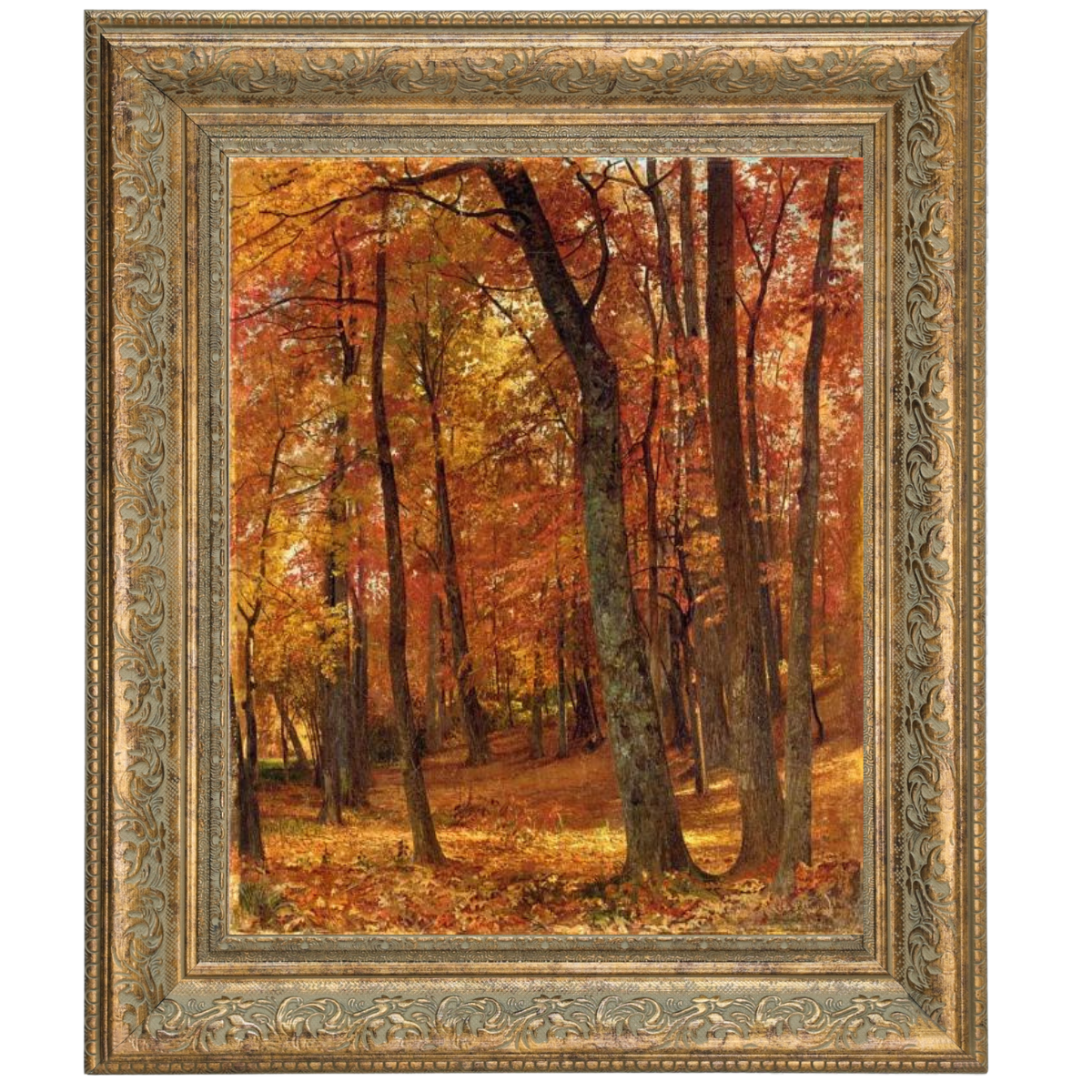 A Forest Interior