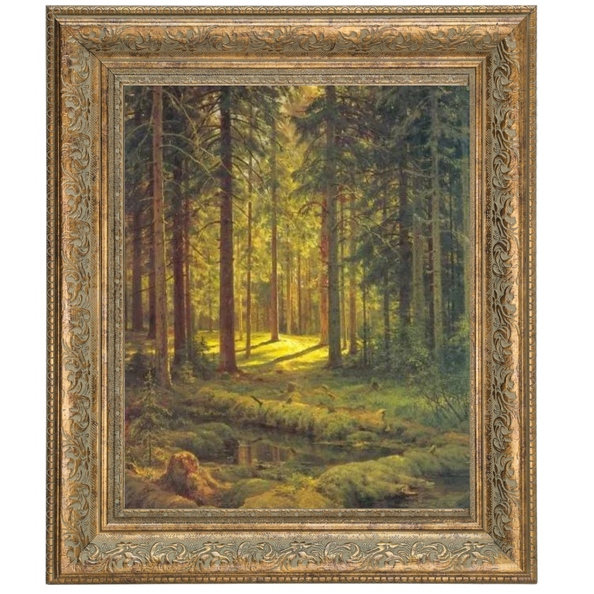A Coniferous Forest. Sunny Day