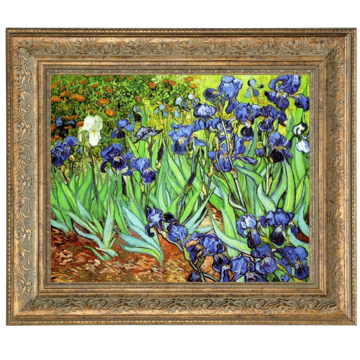 Irises II- Floral Wall Art Prints Decor For Living Room