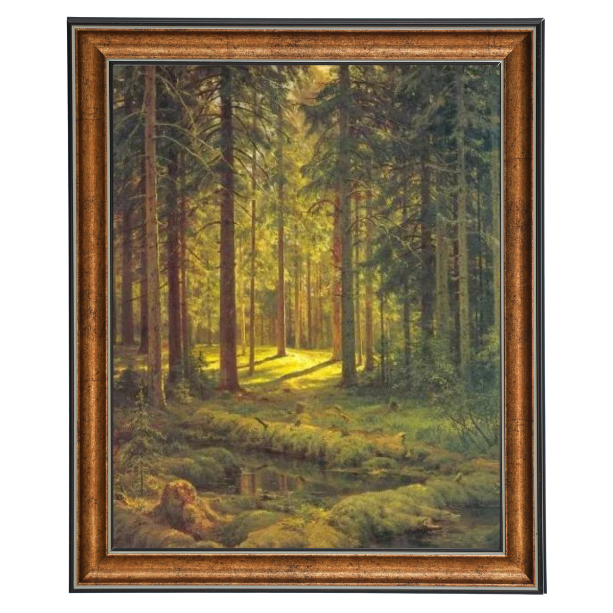 A Coniferous Forest. Sunny Day