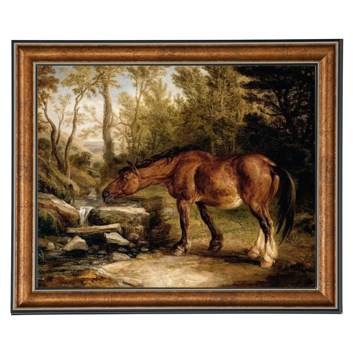 A Horse Drinking at a Stream