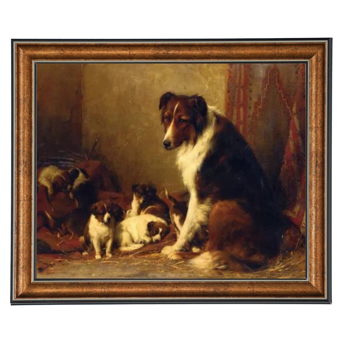A Collie and Her Puppies