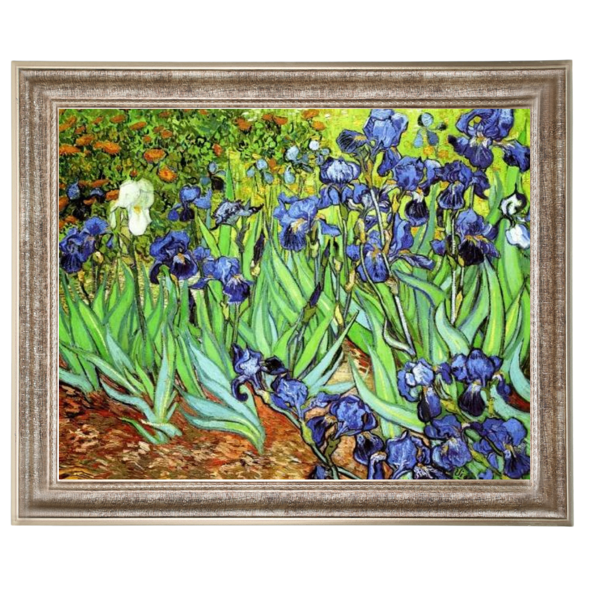 Irises II- Floral Wall Art Prints Decor For Living Room