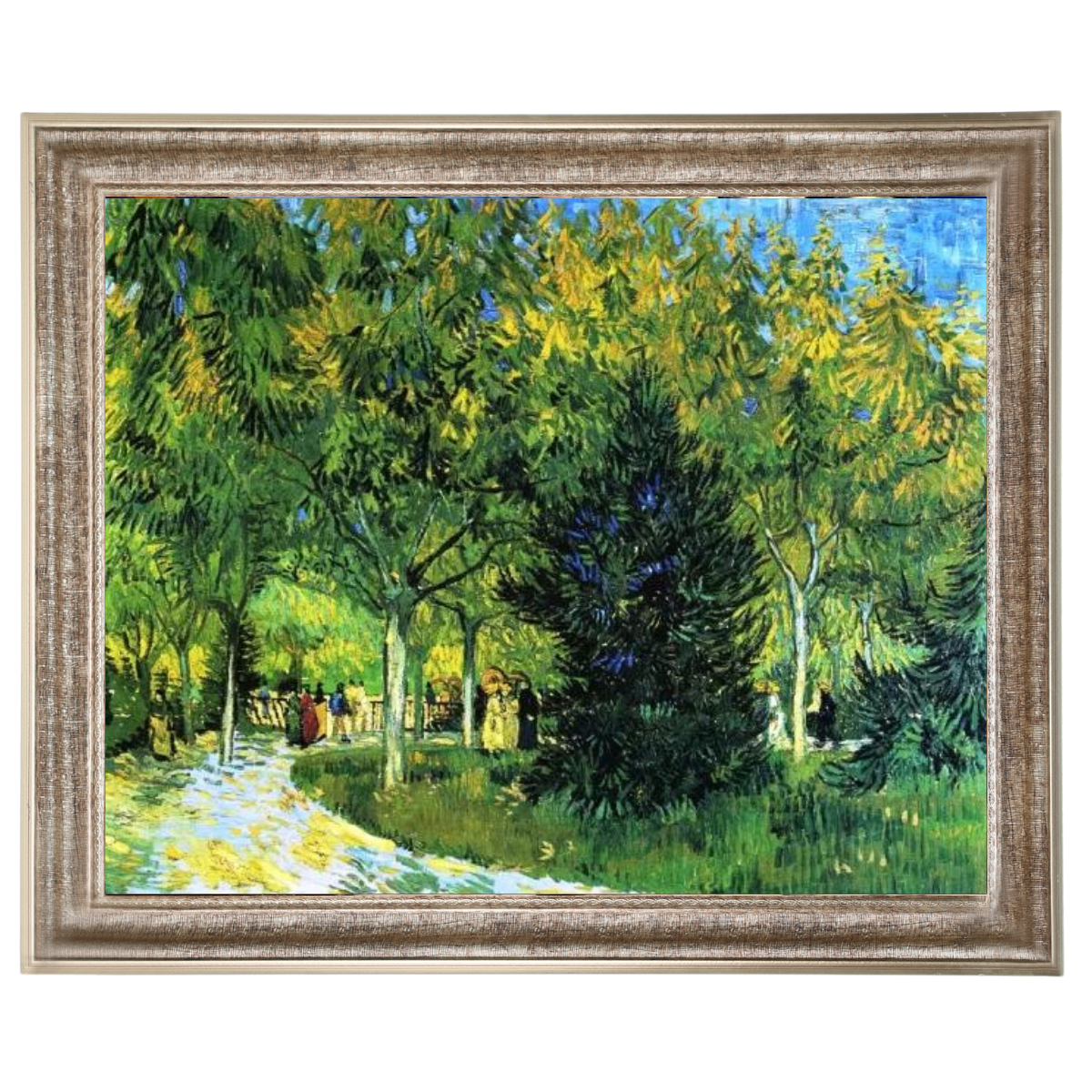 Avenue in the Park