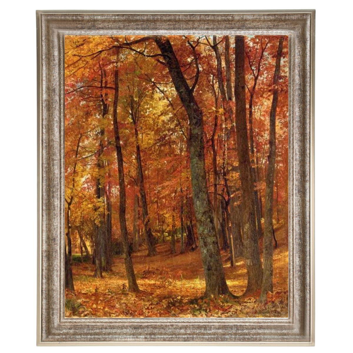 A Forest Interior