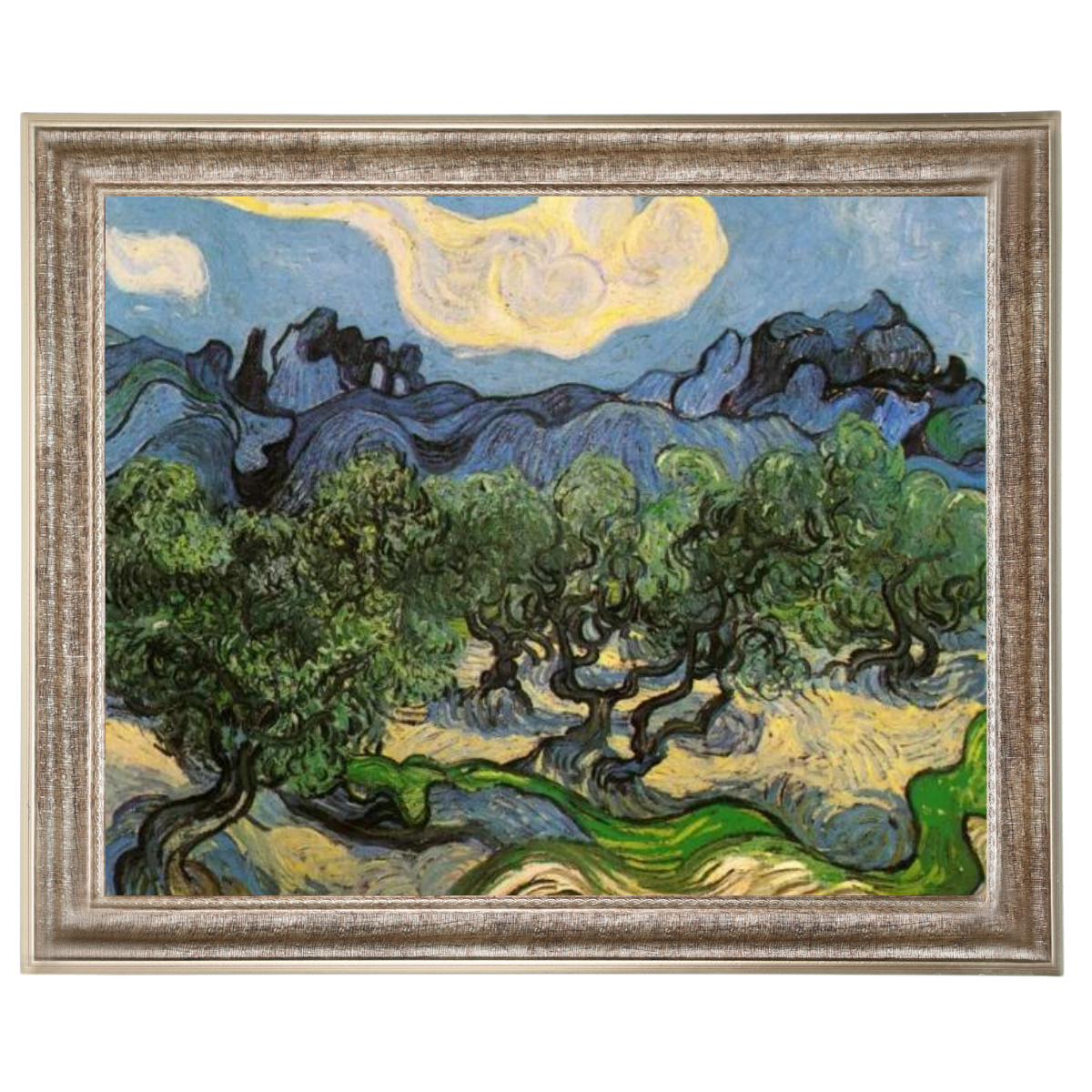 Olive Trees with the Alpilles in the Background
