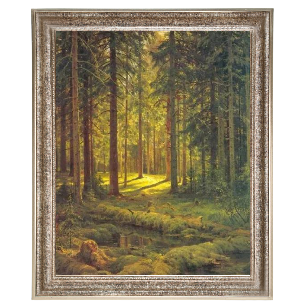 A Coniferous Forest. Sunny Day