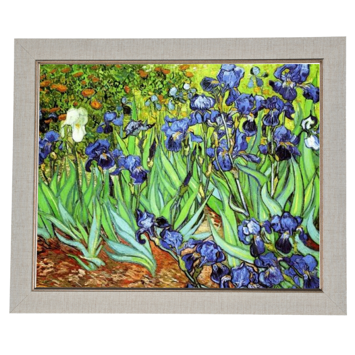 Irises II- Floral Wall Art Prints Decor For Living Room