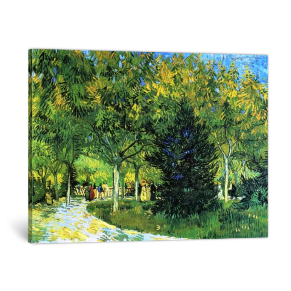 Avenue in the Park