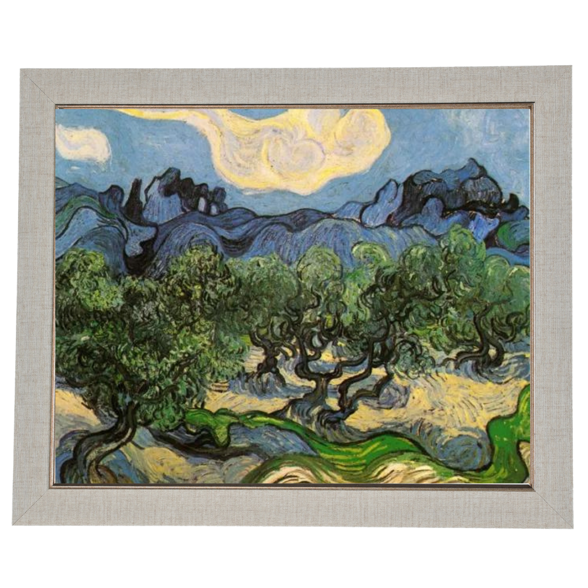 Olive Trees with the Alpilles in the Background