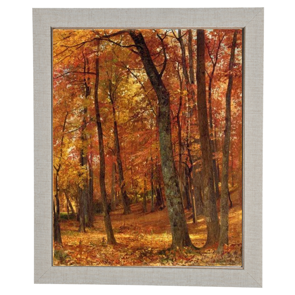 A Forest Interior