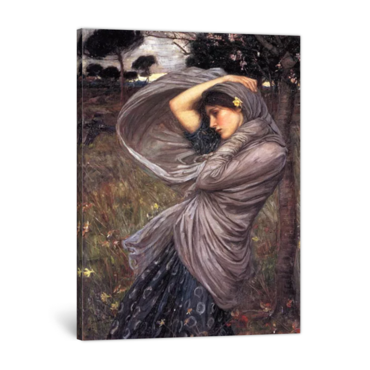 Boreas