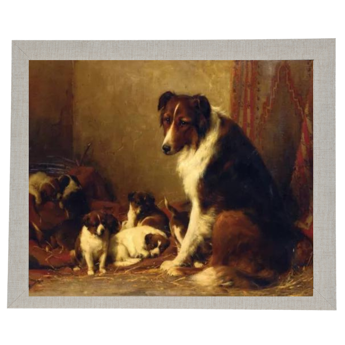 A Collie and Her Puppies