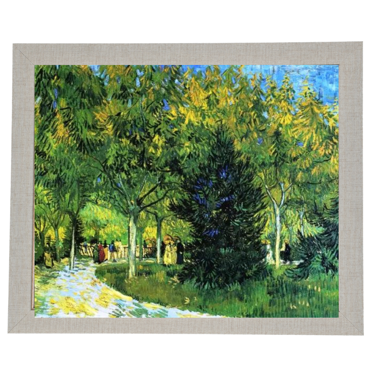 Avenue in the Park