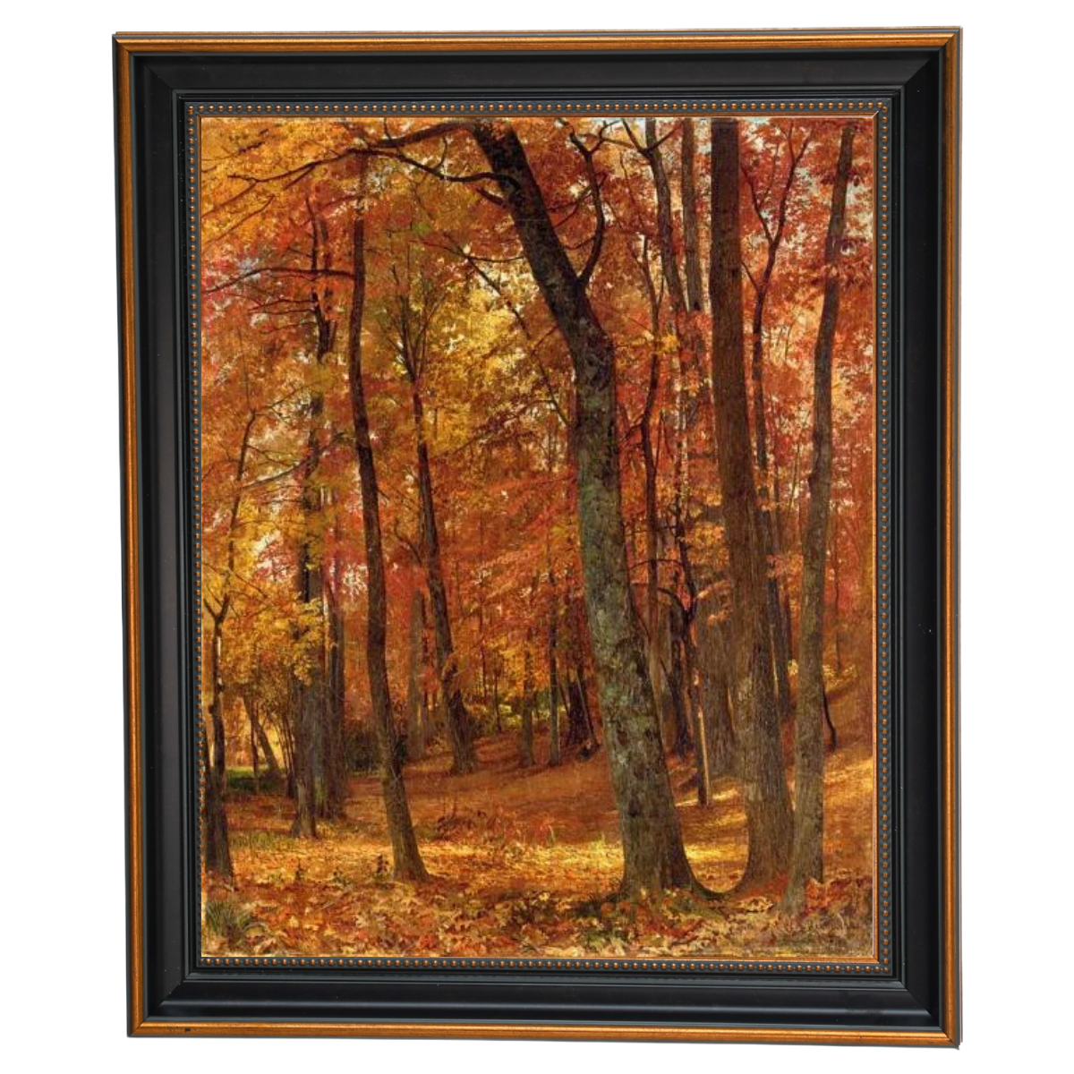 A Forest Interior