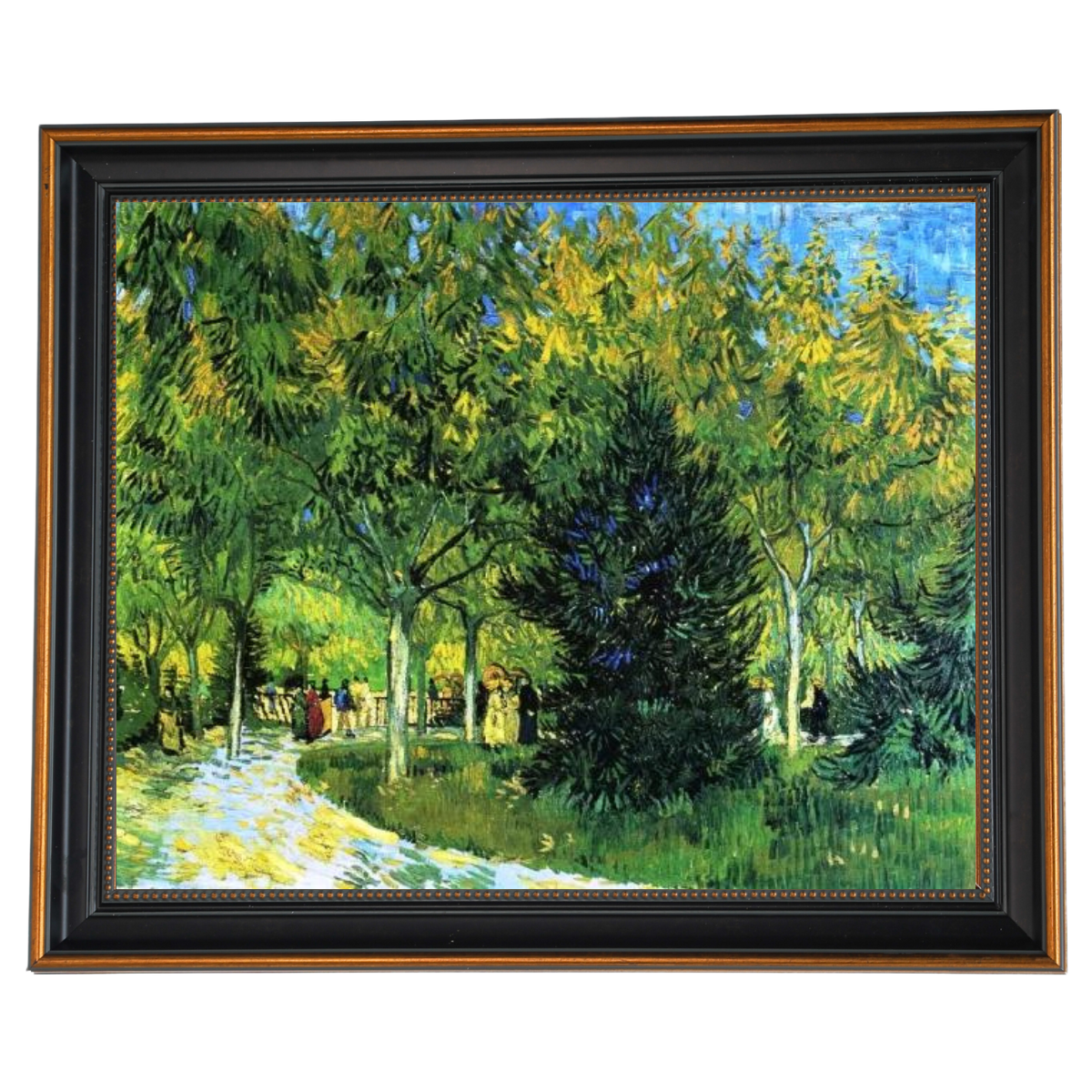 Avenue in the Park