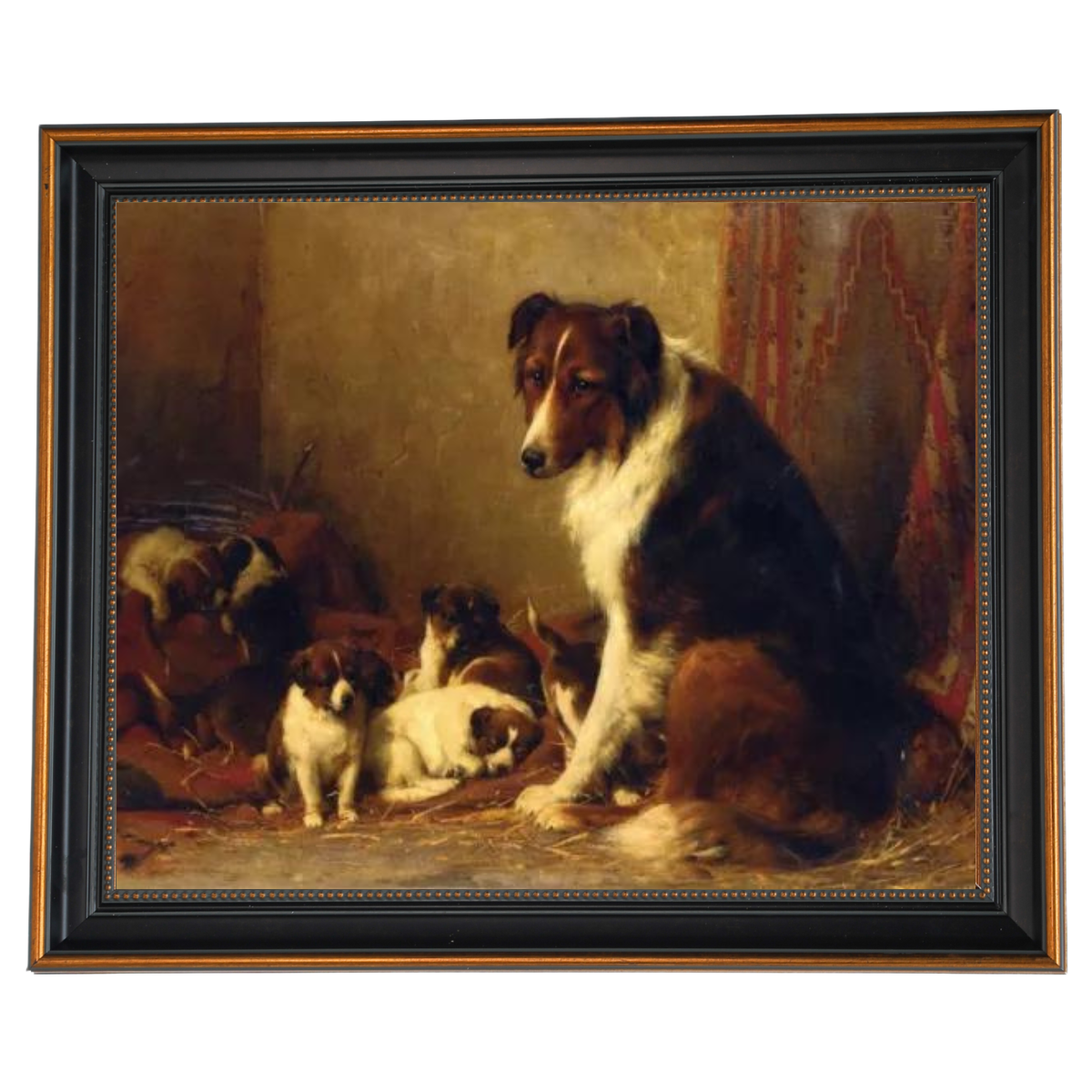 A Collie and Her Puppies