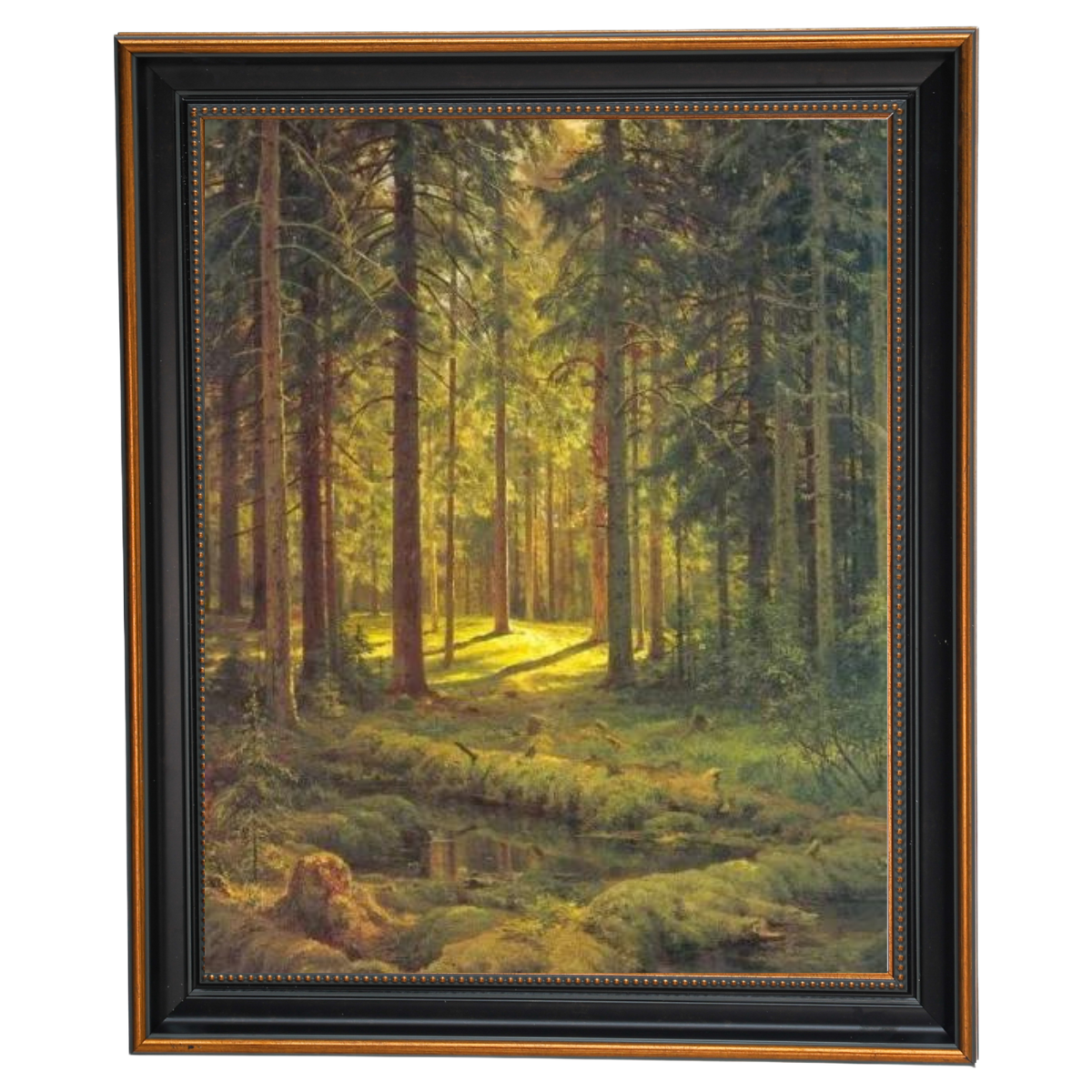 A Coniferous Forest. Sunny Day