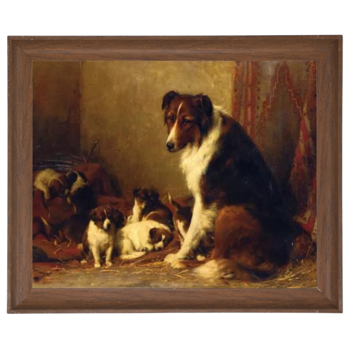 A Collie and Her Puppies