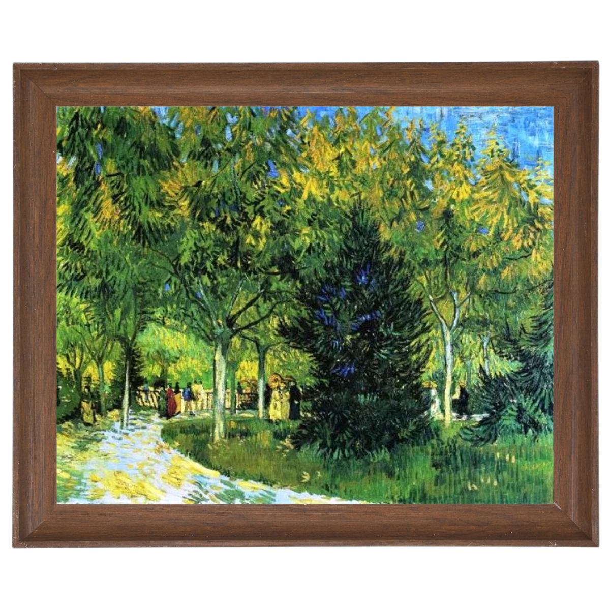 Avenue in the Park