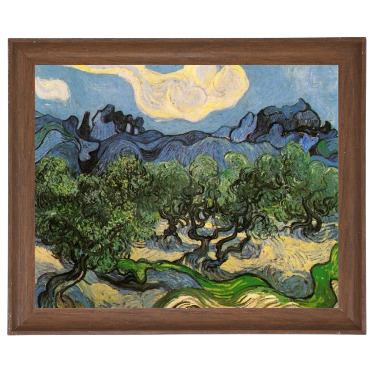 Olive Trees with the Alpilles in the Background