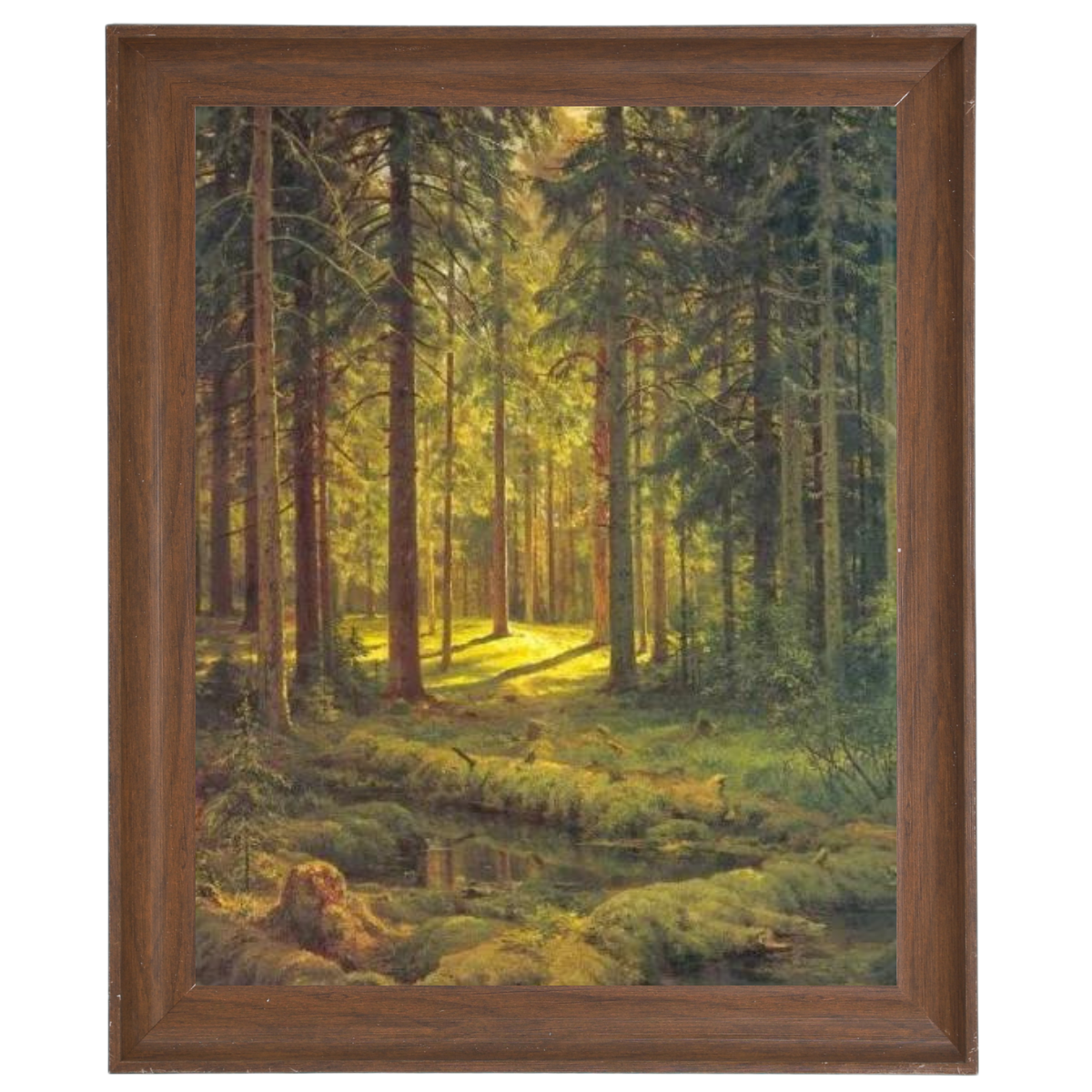 A Coniferous Forest. Sunny Day