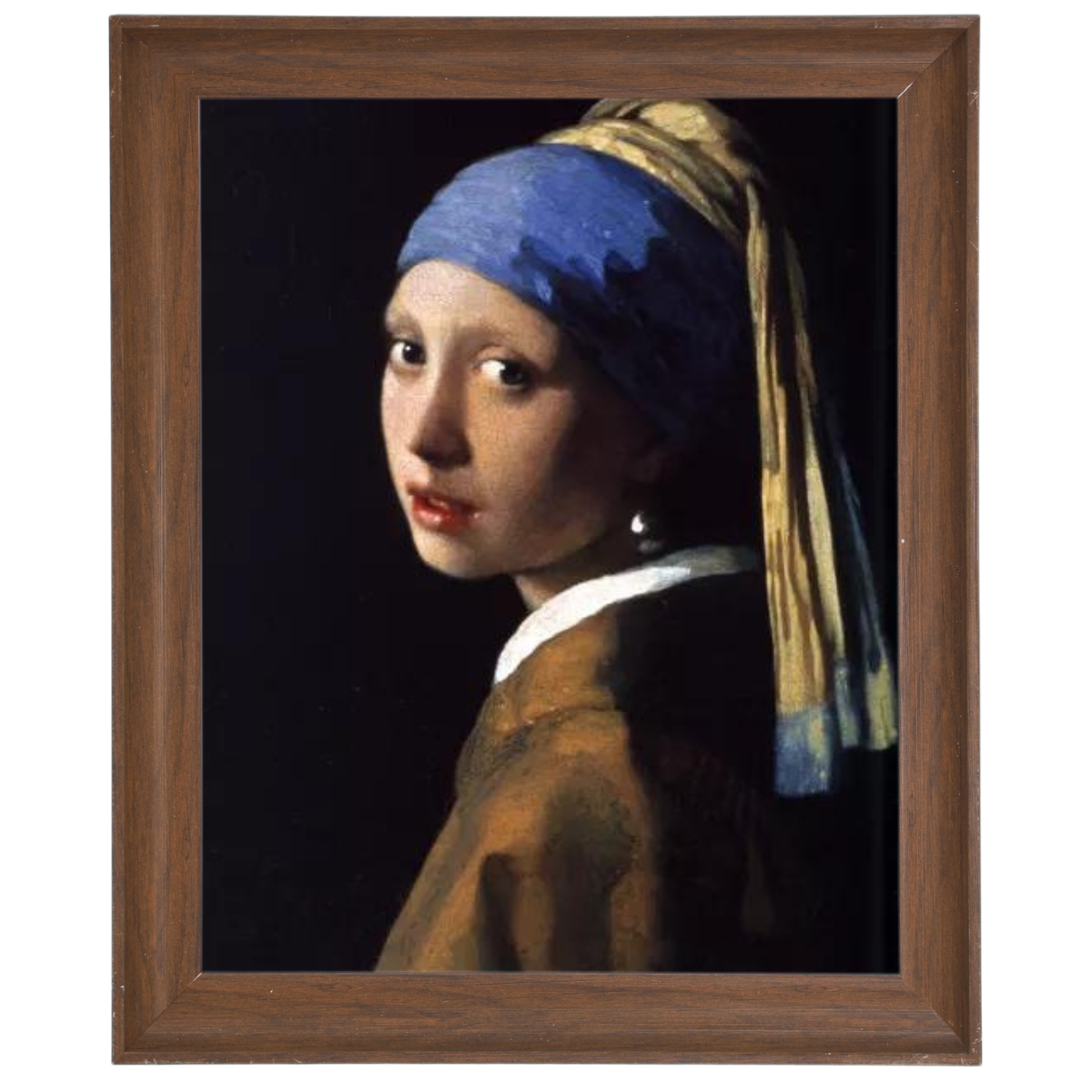 Girl With A Pearl Earring- Vintage Wall Art Prints Decor For Living Room